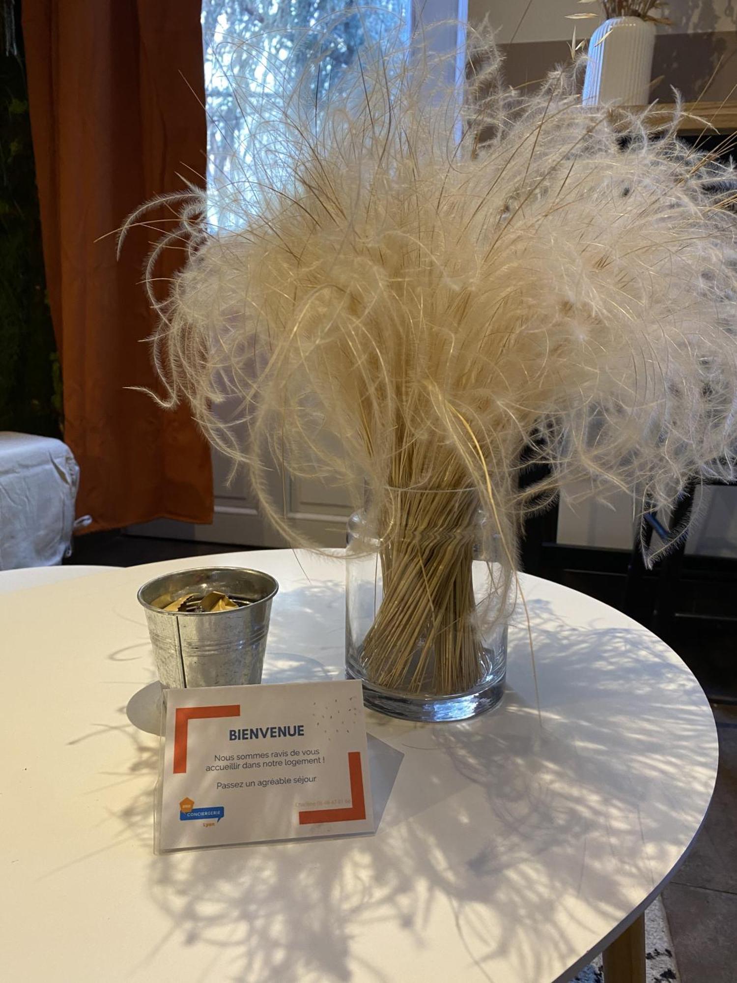 Appartamento Le Creuset Lyonnais, Bnbconciergerie